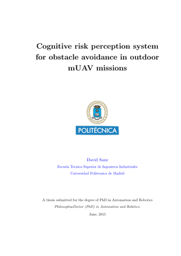 Cognitive Risk Perception System for Obstacle Avoidance in Outdoor Muav Missions