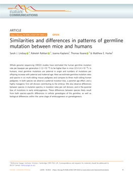 Similarities and Differences in Patterns of Germline Mutation Between Mice and Humans