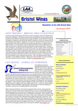 Bristol Wingswings