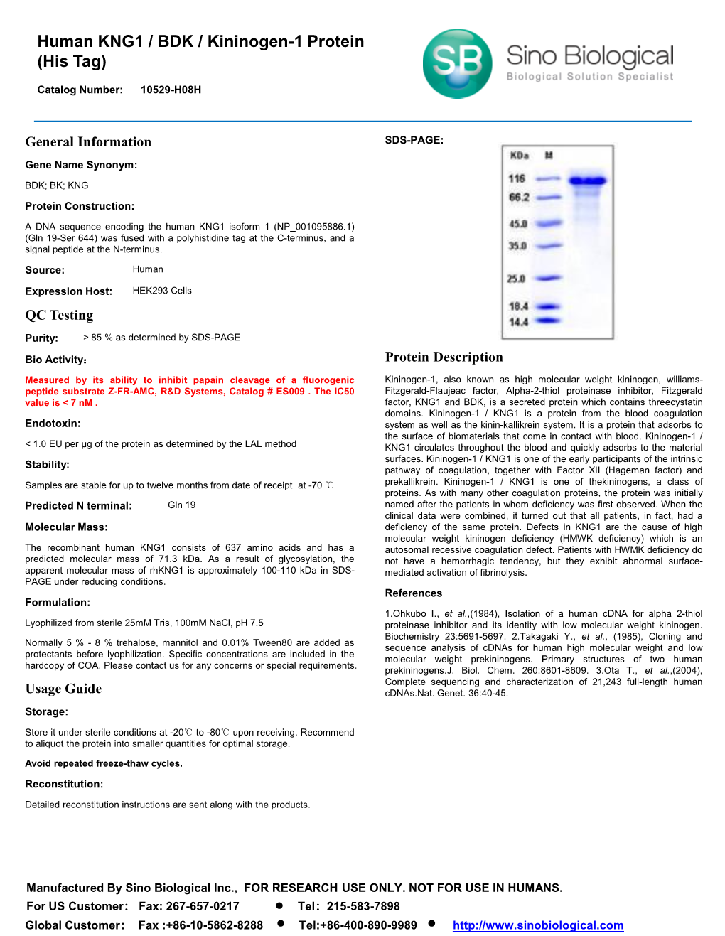 Human KNG1 / BDK / Kininogen-1 Protein (His Tag)