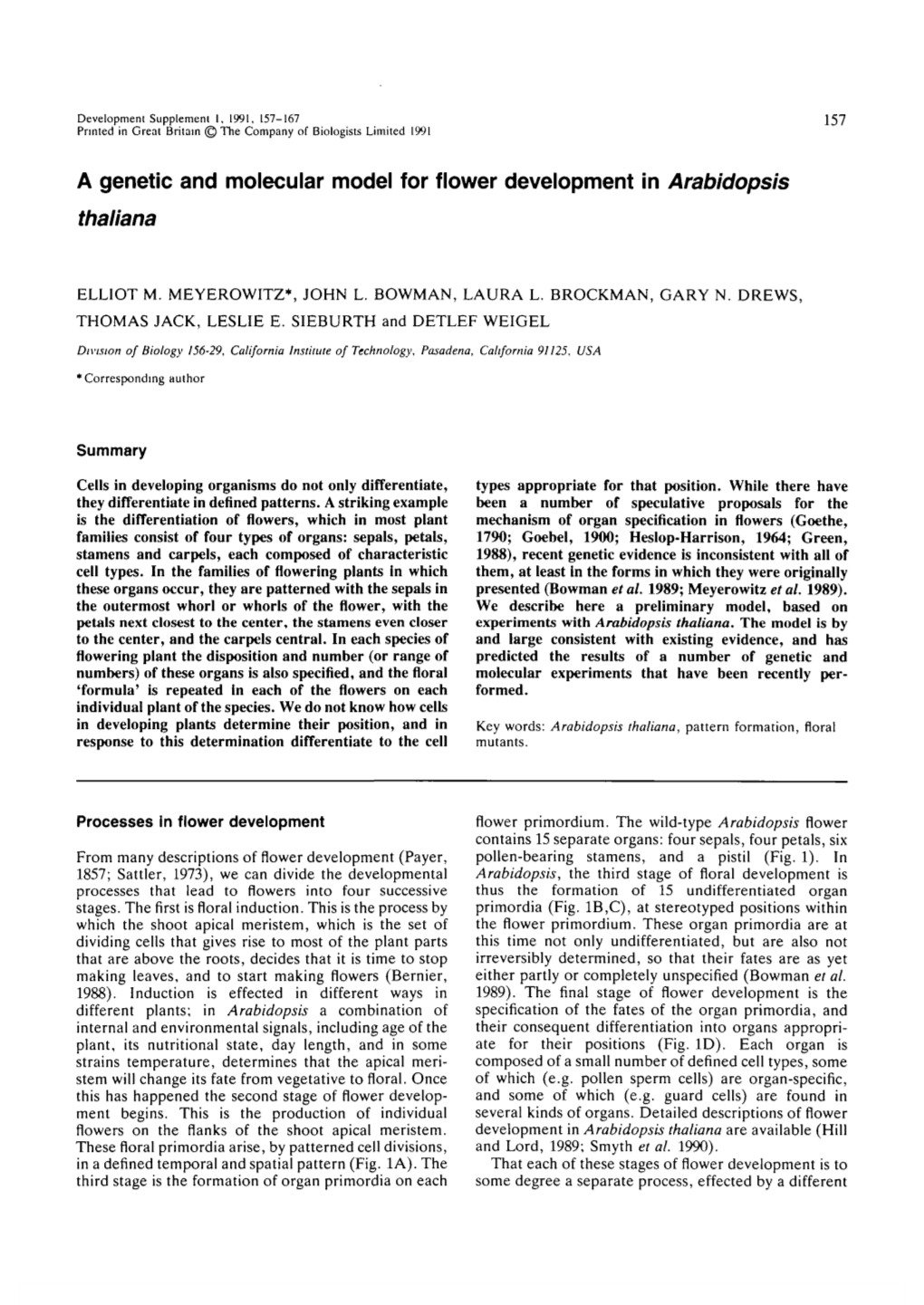 A Genetic and Molecular Model for Flower Development in Arabidopsis Thaliana