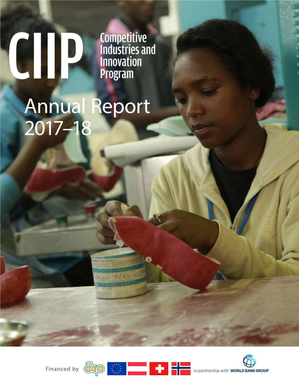 Annual Report 2017–18