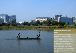 Located on Eastern Fringes of Kolkata City, the East Kolkata Wetlands Are an Assemblage of Sewage Fed Fish Ponds