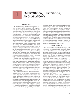 Embryology, Histology, and Anatomy