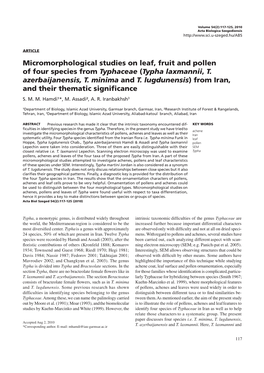Micromorphological Studies on Leaf, Fruit and Pollen of Four Species from Typhaceae (Typha Laxmannii, T. Azerbaijanensis, T. Minima and T