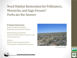 Sage-Grouse? Forbs Are the Answer
