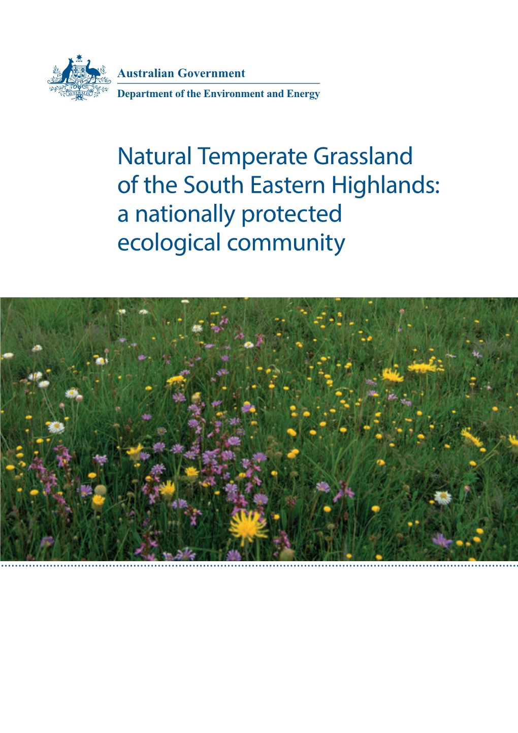 Natural Temperate Grassland of the South Eastern Highlands