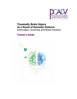 Traumatic Brain Injury As a Result of Domestic Violence: Information, Screening and Model Practices