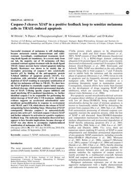 Caspase-3 Cleaves XIAP in a Positive Feedback Loop to Sensitize Melanoma Cells to TRAIL-Induced Apoptosis