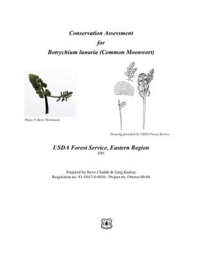 Conservation Assessment for Botrychium Lunaria