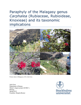 Paraphyly of the Malagasy Genus Carphalea (Rubiaceae, Rubioideae, Knoxieae) and Its Taxonomic Implications
