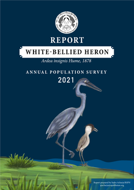 WHITE-BELLIED HERON REPORT Ardea Insignis Hume, 1878