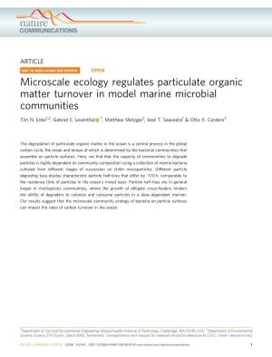 Microscale Ecology Regulates Particulate Organic Matter Turnover in Model Marine Microbial Communities