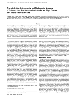 Characterization, Pathogenicity, and Phylogenetic Analyses of Colletotrichum Species Associated with Brown Blight Disease on Camellia Sinensis in China
