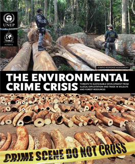 The Environmental Crime Crisis