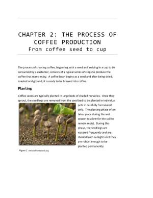 CHAPTER 2: the PROCESS of COFFEE PRODUCTION from Coffee Seed to Cup