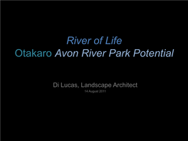 Avon River Park Potential