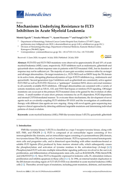 Mechanisms Underlying Resistance to FLT3 Inhibitors in Acute Myeloid Leukemia