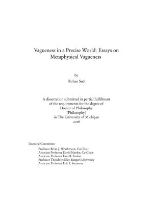Vagueness in a Precise World: Essays on Metaphysical Vagueness