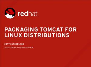 Packaging Tomcat for Linux Distributions