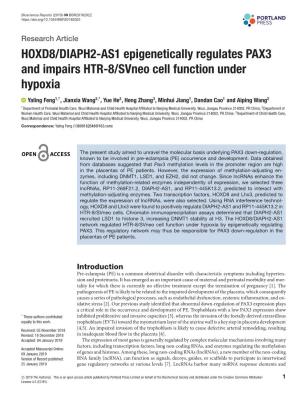 HOXD8/DIAPH2-AS1 Epigenetically Regulates PAX3 and Impairs HTR-8/Svneo Cell Function Under Hypoxia