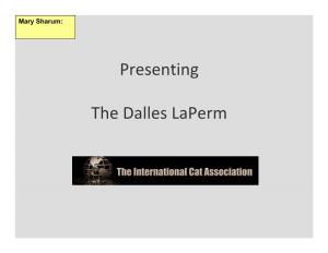 Presenting the Dalles Laperm
