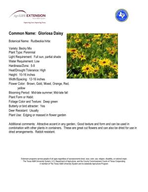 Common Name: Gloriosa Daisy