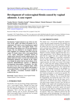 Development of Vesicovaginal Fistula Caused by Vaginal Adenosis: a Case Report