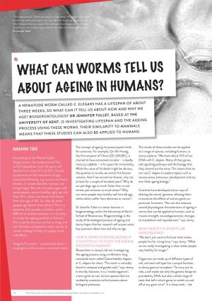 What Can Worms Tell Us About Ageing in Humans?
