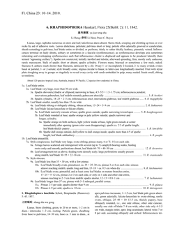 Rhaphidophora (PDF)