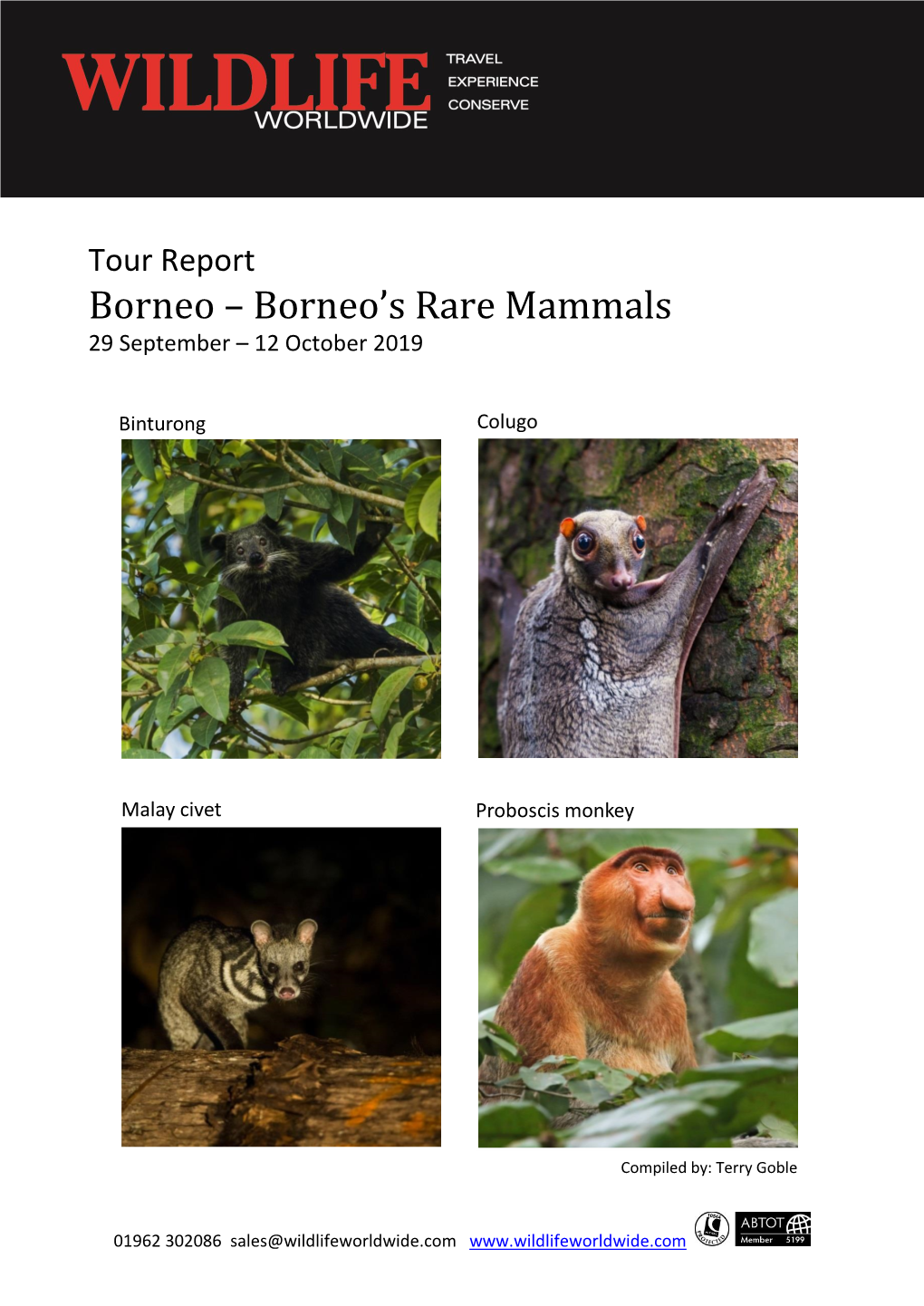 Borneo's Rare Mammals