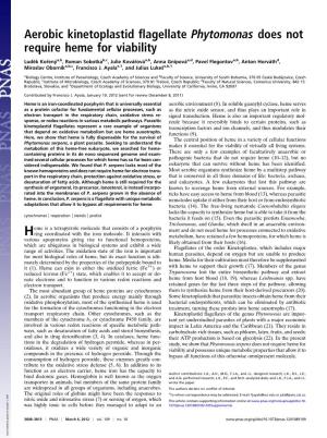 Aerobic Kinetoplastid Flagellate Phytomonas Does Not Require Heme
