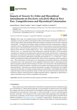 Litter and Mycorrhizal Amendments on Baccharis Salicifolia (Ruiz & Pav.) Pers