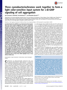 Three Cyanobacteriochromes Work Together to Form a Light Color-Sensitive Input System for C-Di-GMP Signaling of Cell Aggregation