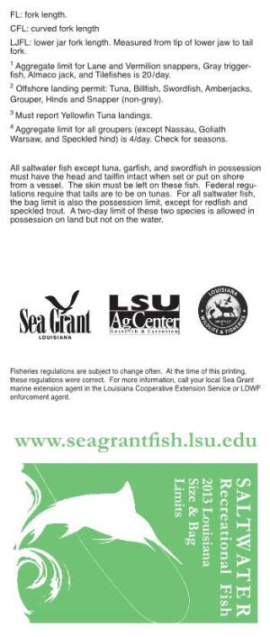 Saltwater Recreational Fish Size and Bag Limits