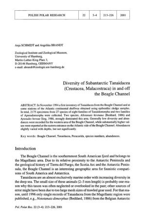 Diversity of Subantarctic Tanaidacea (Crustacea, Malacostraca) in and Off the Beagle Channel