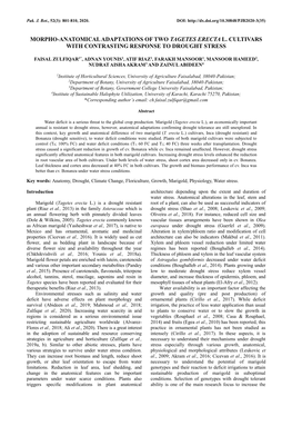 Morpho-Anatomical Adaptations of Two Tagetes Erecta L. Cultivars with Contrasting Response to Drought Stress