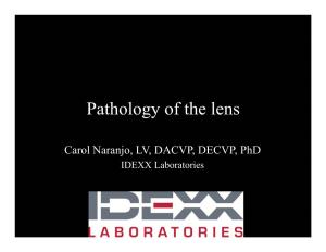 Pathology of the Lens
