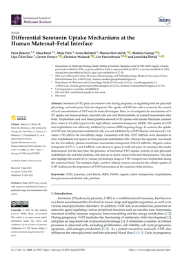 Differential Serotonin Uptake Mechanisms at the Human Maternal–Fetal Interface
