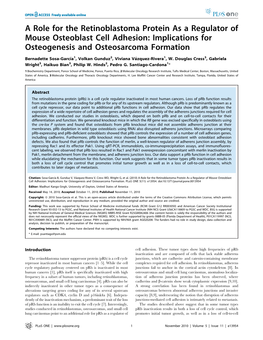 A Role for the Retinoblastoma Protein As a Regulator of Mouse Osteoblast Cell Adhesion: Implications for Osteogenesis and Osteosarcoma Formation