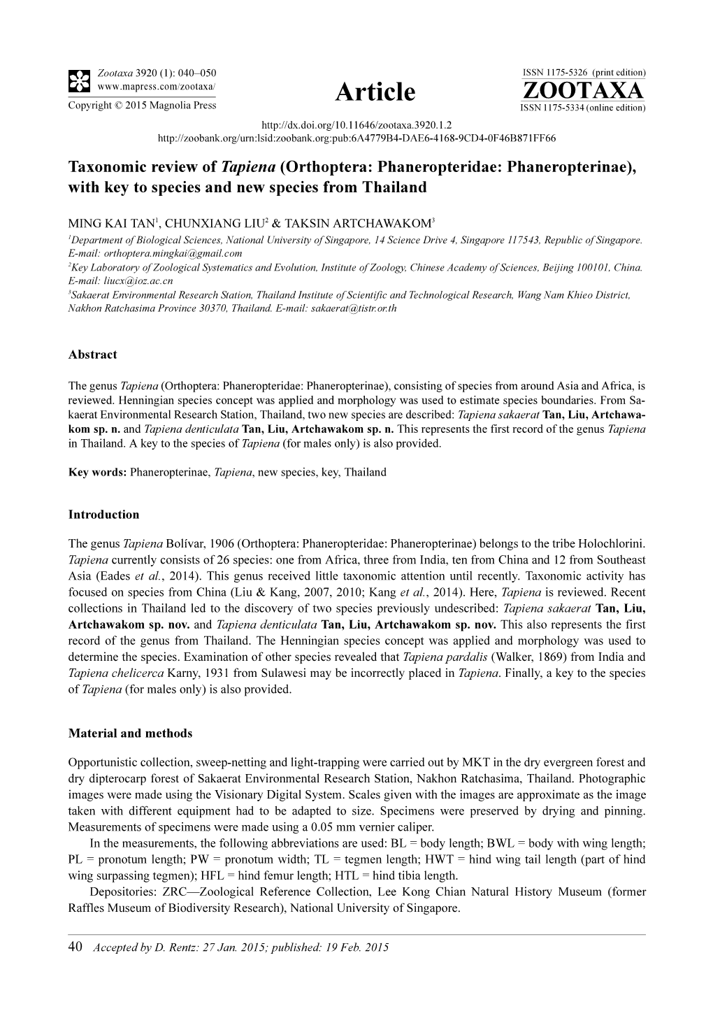 Taxonomic Review of Tapiena (Orthoptera: Phaneropteridae: Phaneropterinae), with Key to Species and New Species from Thailand