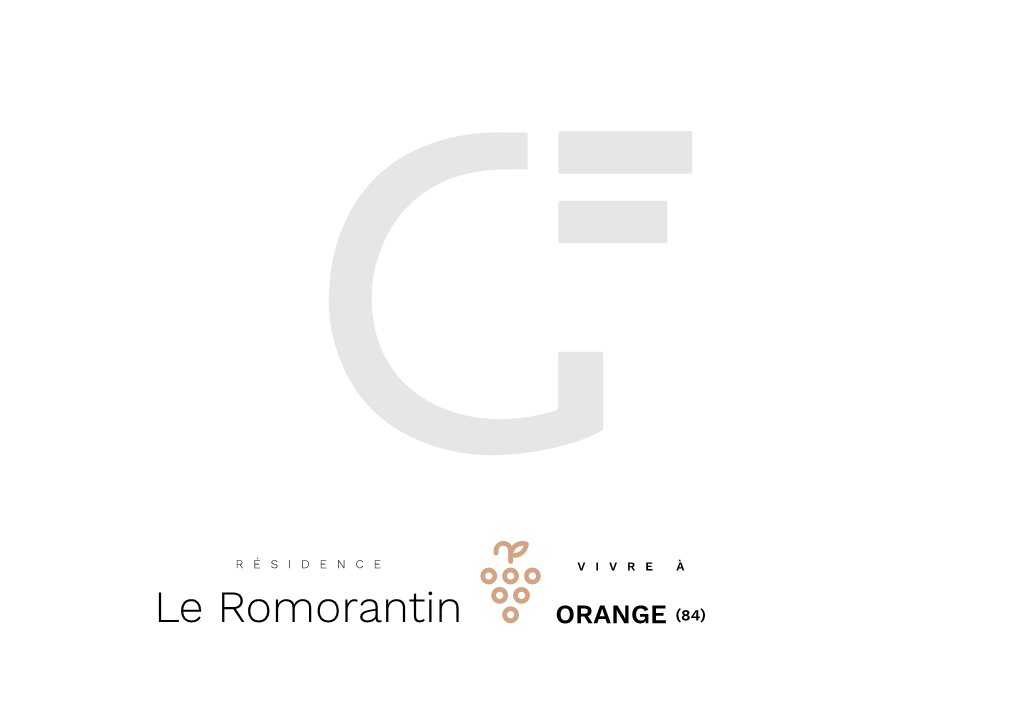 Le Romorantin