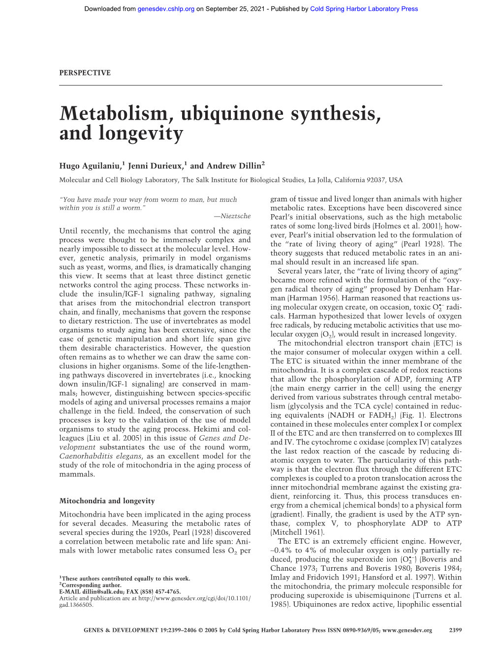 Metabolism, Ubiquinone Synthesis, and Longevity
