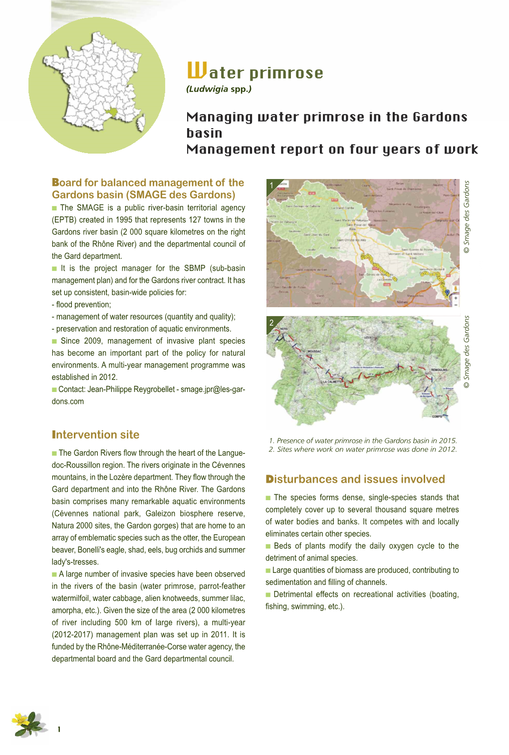 Managing Water Primrose in the Gardons Basin Management Report on Four Years of Work