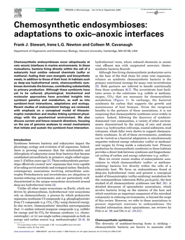 Chemosynthetic Endosymbioses: Adaptations to Oxic–Anoxic Interfaces