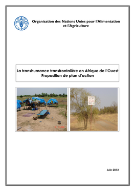 La Transhumance Transfrontalière En Afrique De L'ouest