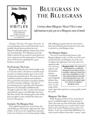 Bluegrass in the Bluegrass