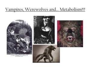 Vampires, Werewolves And… Metabolism!!? the Origins of Vampire Folklore