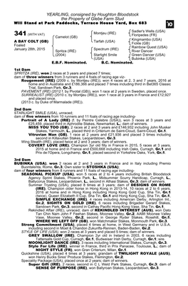 YEARLING, Consigned by Houghton Bloodstock the Property of Glebe Farm Stud Will Stand at Park Paddocks, Terrace House Yard, Box 683