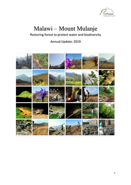 Malawi – Mount Mulanje Restoring Forest to Protect Water and Biodiversity Annual Update: 2019